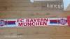 Fc Bayern München szurkolói sál - 1