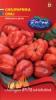 Chili paprika Habanero piros (20szem)