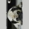 Mopsz kutya mintás Sony Xperia Z5 tok hátlap