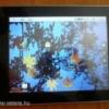 Használt Android Tablet Herotab M802
