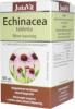 Echinacea Bíbor kasvirág tabletta 50 db (Jutavit)