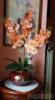3 szálas 74 cm magas élethű orchidea kaspóban