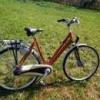 Holland Gazelle kerékpár eladó!