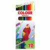 12 db színes ceruza (Vörös ara papagáj)