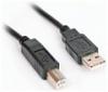 Blueline USB A-B nyomtató kábel (2m)