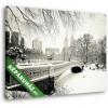 Bow híd, Central Park, New York (35x25 cm, Vászonkép )
