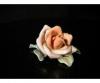 S111 Régi porcelán ENS rózsa