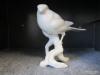Eladó gyönyörű nagy NEU BACH NEUBACH porcelán madár