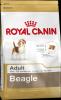 Royal Canin Breed Health Nutrition - Beagle Adult...