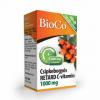 BioCo C-Vitamin, Csipkebogyós, Nyújtott Felszívódású, 100 db