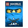 Lego Könyv Ninjago Jay