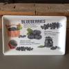 Tálca melamin 31x19,5 cm Blueberries