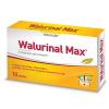 Walmark Walurinal Max aranyvesszővel tabletta (10x)