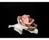 S112 Régi porcelán ENS rózsa