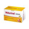 Walmark Walurinal Drink italpor (12x)