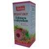 Apotheke Echinacea Szirup Homoktövissel 250 ml