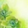 Vászon kép, virág, zöld virág, orchidea, fény