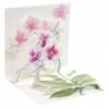 Popshots képeslap, mini, orchidea