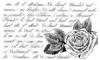 Akril szilikon pecsételő 7 11 cm WTK149 - Rózsa írással