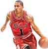 Adidas Chicago Bulls Derrick Rose kosaras mez