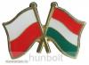 Kitűző, páros zászló Lengyel-Magyar jelvény 26x15 mm