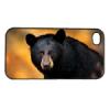 Fekete medve - Apple Iphone 4 4s tok