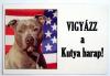 Kutya harap tábla amerikai staffordshire terrier fényképpel 15x20cm -