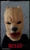 pitbull antwoord latex maszk teljes fejes kutya