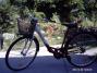 Scirocco City kerékpár