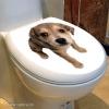 Kutya, csillámos toalett díszítő matrica