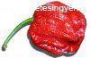 7 Pot Red chili paprika mag